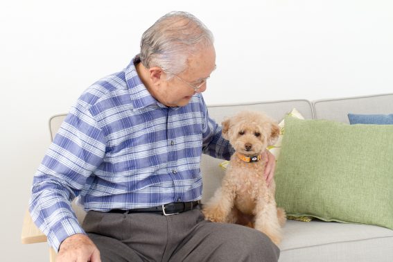 おじいちゃんと犬