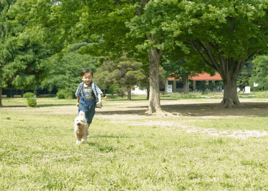 公園で遊ぶ子供と犬