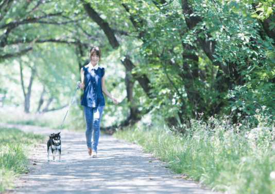 ペットシッターが薦める東京都荒川区の魅力的な犬の散歩代行コース