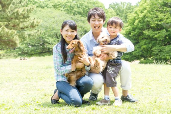 家族で犬と散歩
