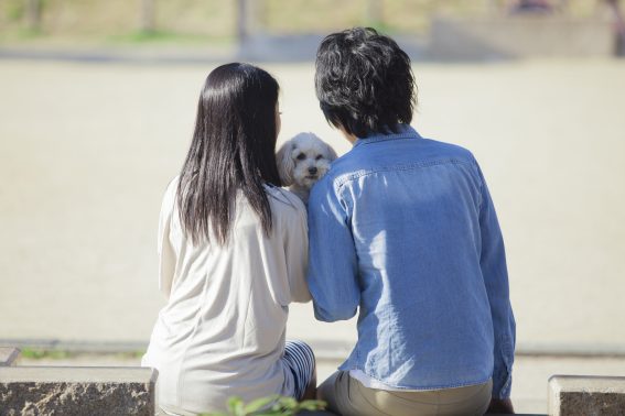 公園で佇む犬と人
