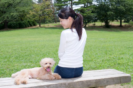 公園もあります