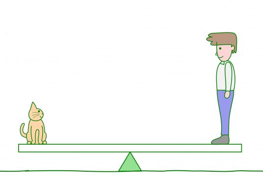 見つめあう人と猫