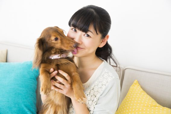 自宅で笑顔の飼い主と犬