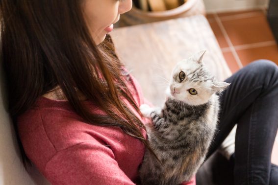 若い女性と猫