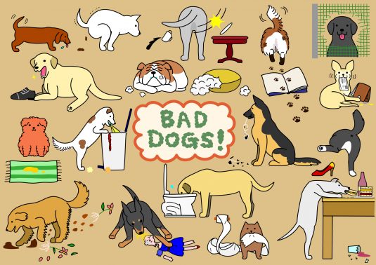 いたずら好きな犬