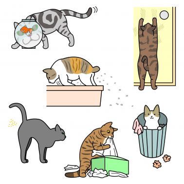 イタズラする猫
