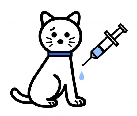 猫の注射