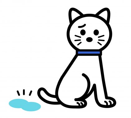粗相してしまった猫