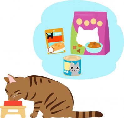 フードを食べる猫