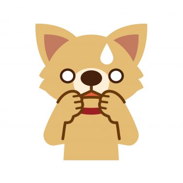 驚く犬
