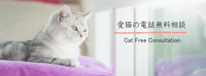 プロのペットシッターによる愛猫の無料電話相談
