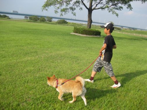 散歩する子供と犬