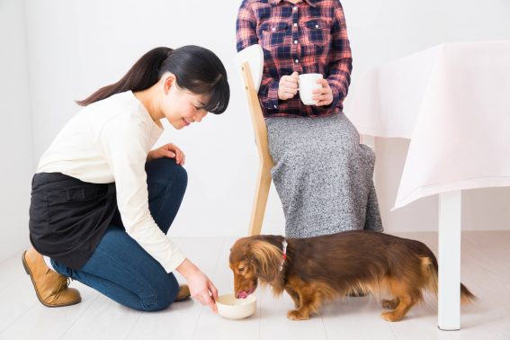 スタッフと飼い主の話し合い