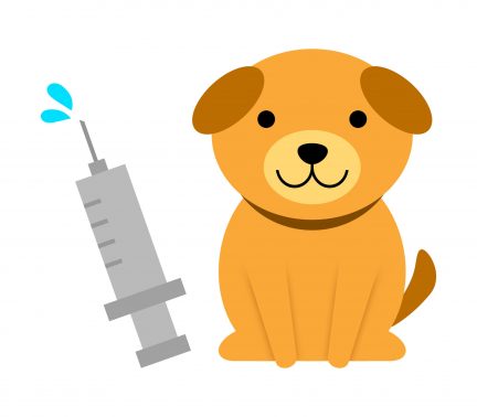 ワクチンと犬