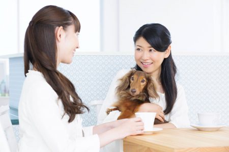 お客様とシッター