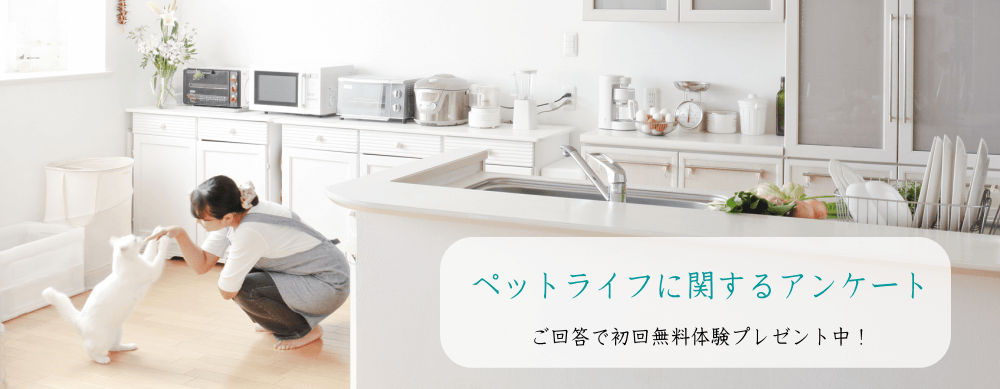 ペットライフに関するアンケート
