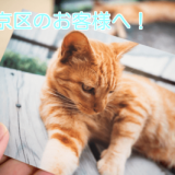 安全にペットをお預けする方法