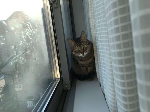 窓際で過ごす様子